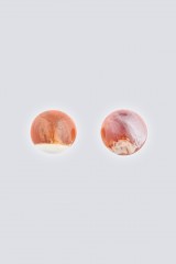 Drexcode - Brown resin earrings - Sharra Pagano - Sale - 2