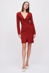 Drexcode - Burgundy mini dress  - Jo No Fui - Sale - 1