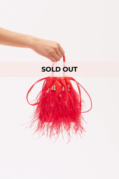  Bag feathers and fuchsia rhinestones